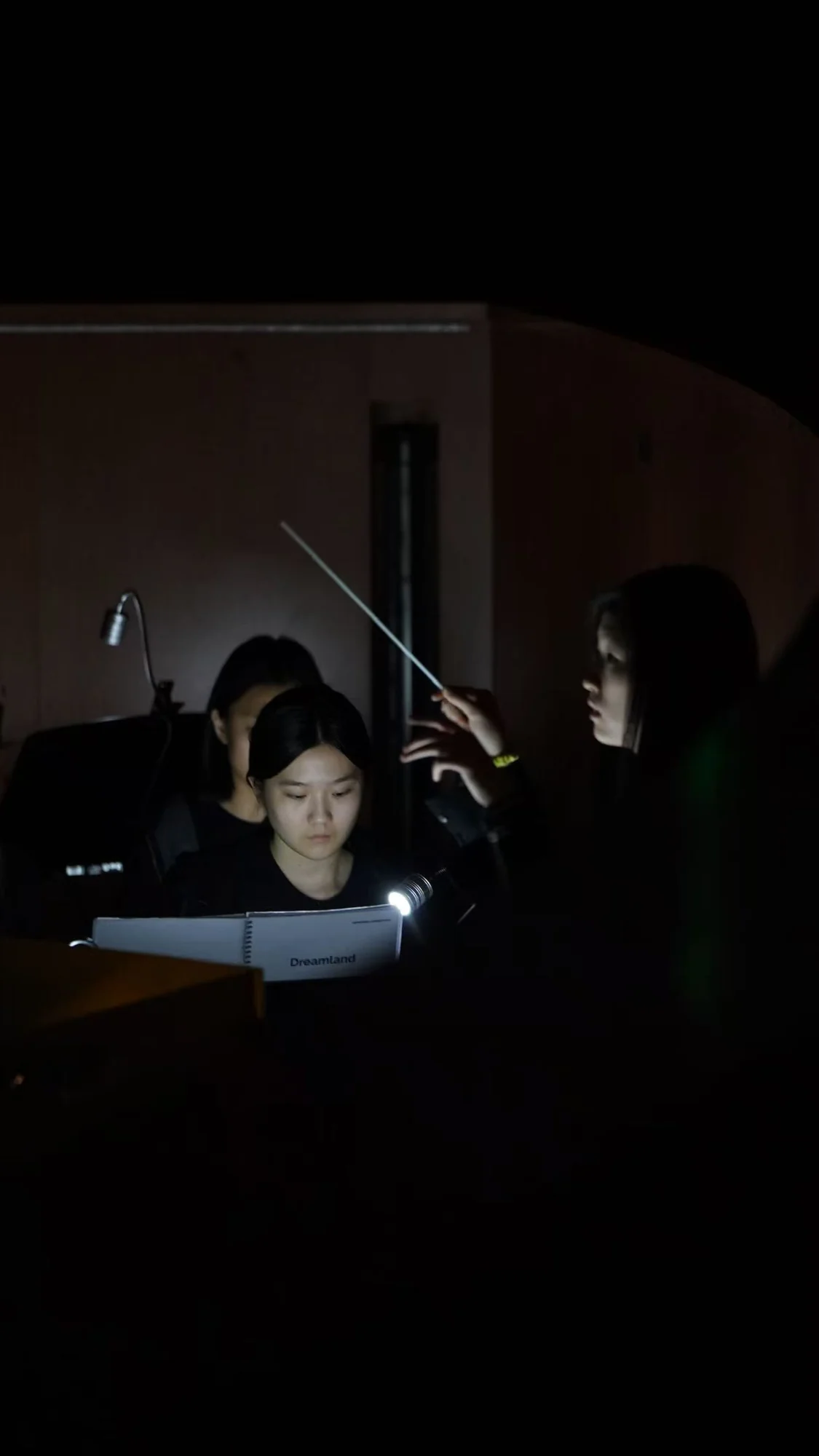 Dreamland pit orchestra — photograph 4